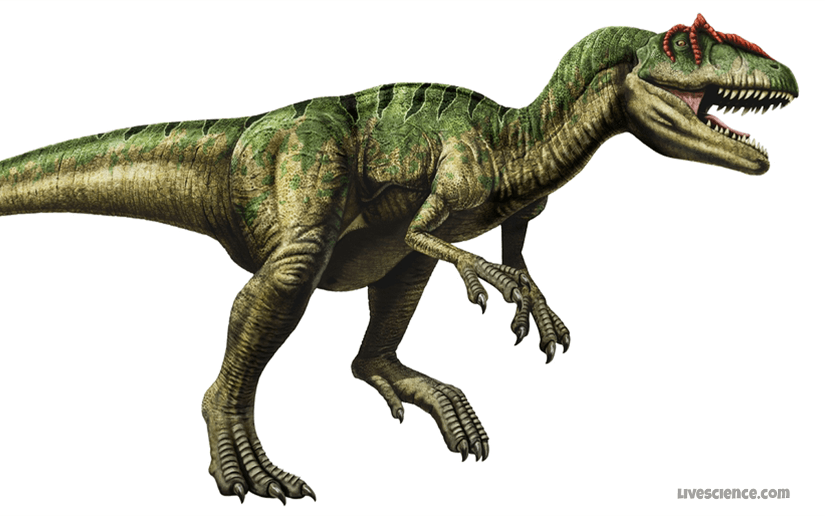 Allosaurus - 20 Deadliest Dinosaurs In History