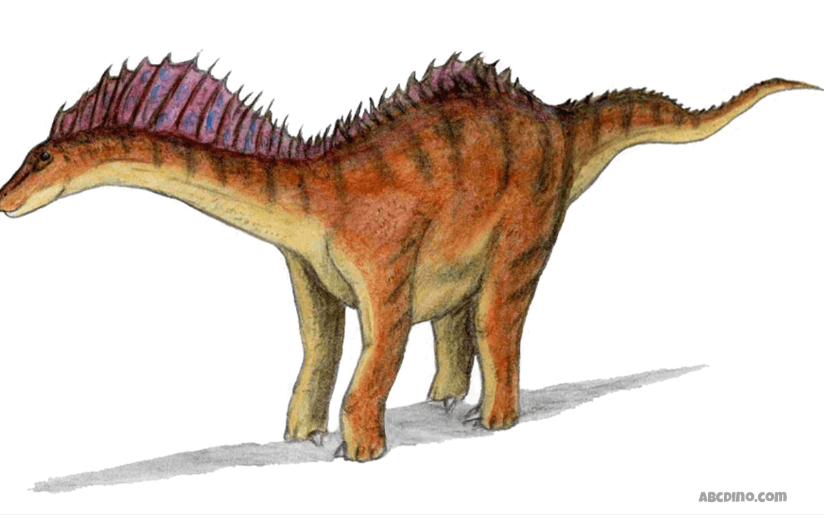 Amargasaurus - Weirdest Dinosaurs