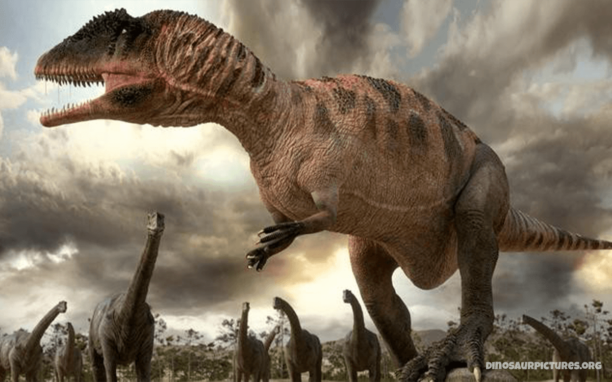 Carcharodontosaurus - 20 Deadliest Dinosaurs In History