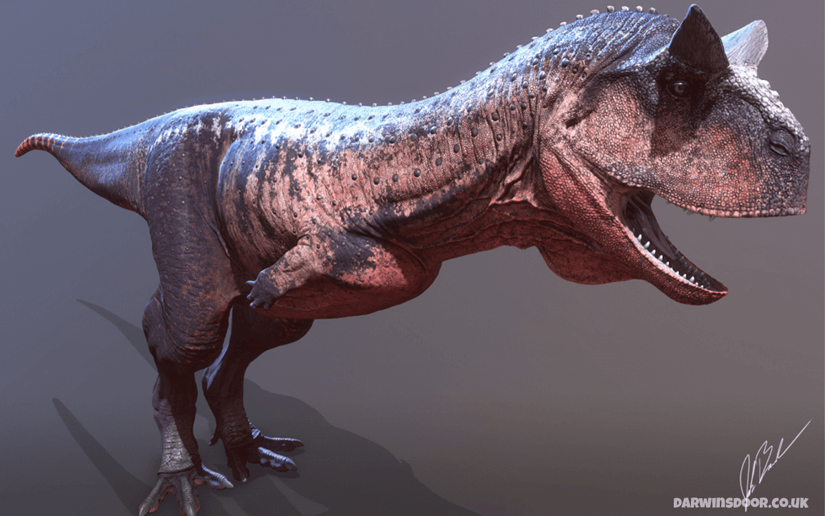 Carnotaurus - 20 Deadliest Dinosaurs In History
