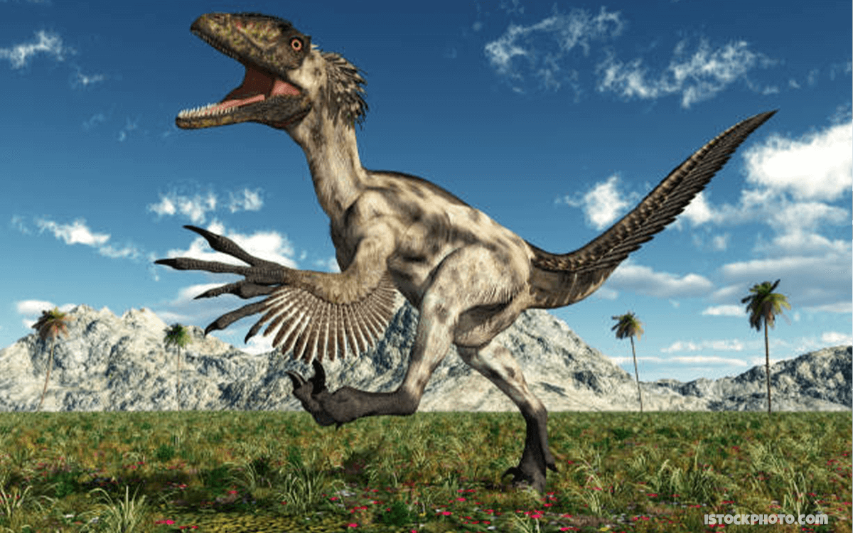 Deinonychus - 20 Deadliest Dinosaurs In History