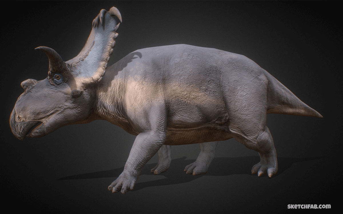 Kosmoceratops - Weirdest Dinosaurs