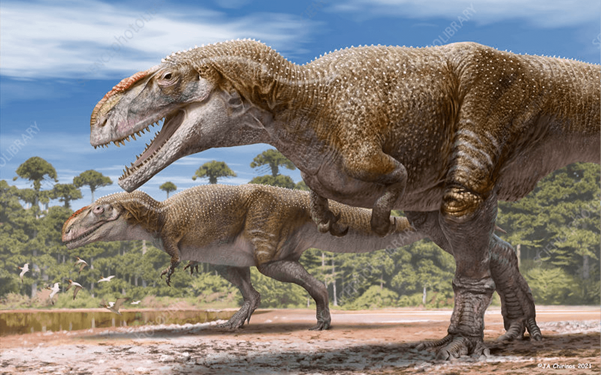 Mapusaurus - 20 Deadliest Dinosaurs In History