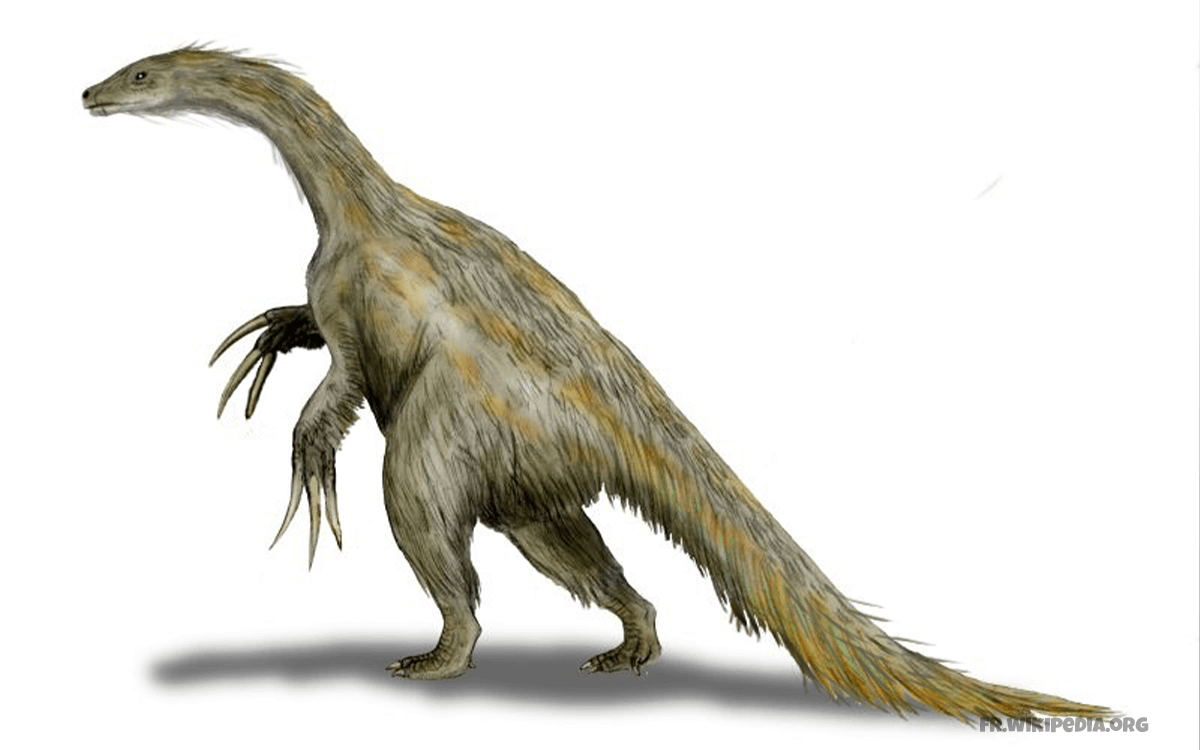 Nothronychus - Weirdest Dinosaurs