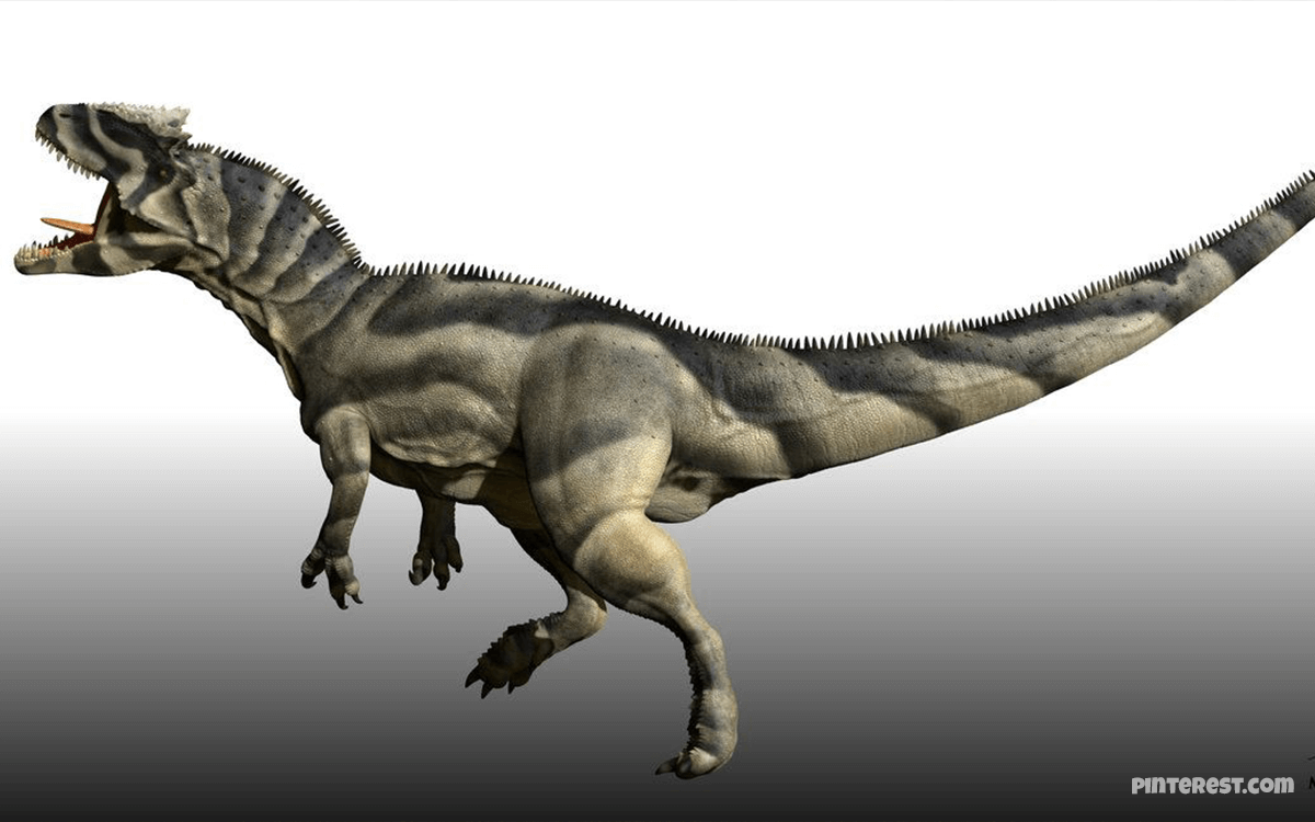 Saurophaganax - 20 Deadliest Dinosaurs In History