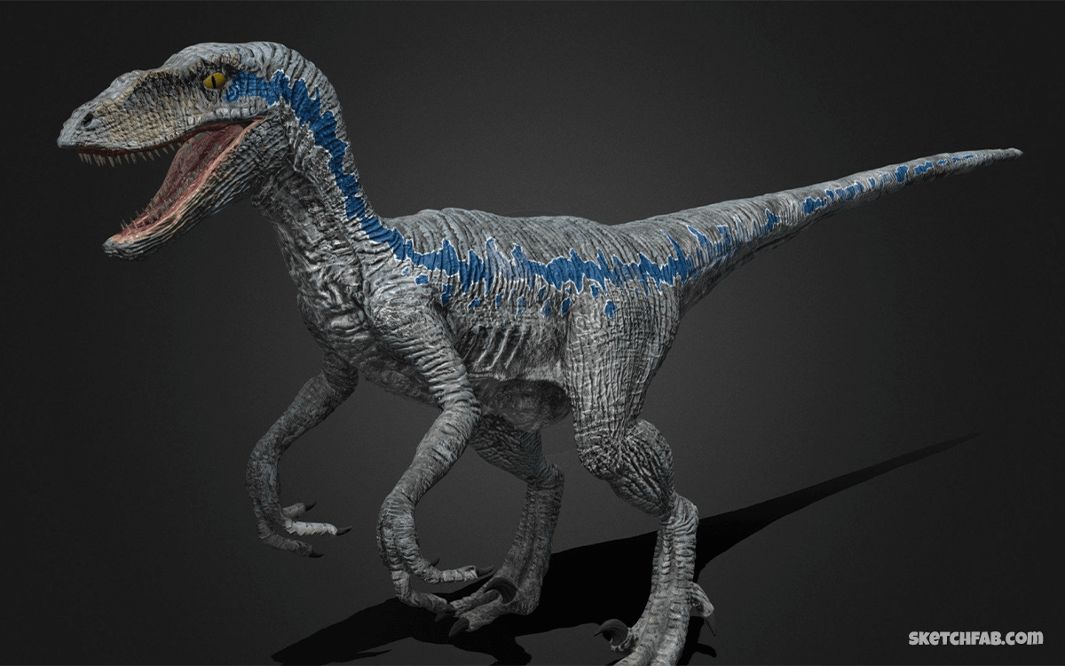 Velociraptor - 20 Deadliest Dinosaurs In History