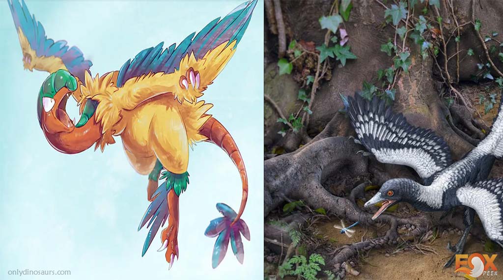 Archeops Archaeopteryx - Most Popular Dinosaur Pokemons