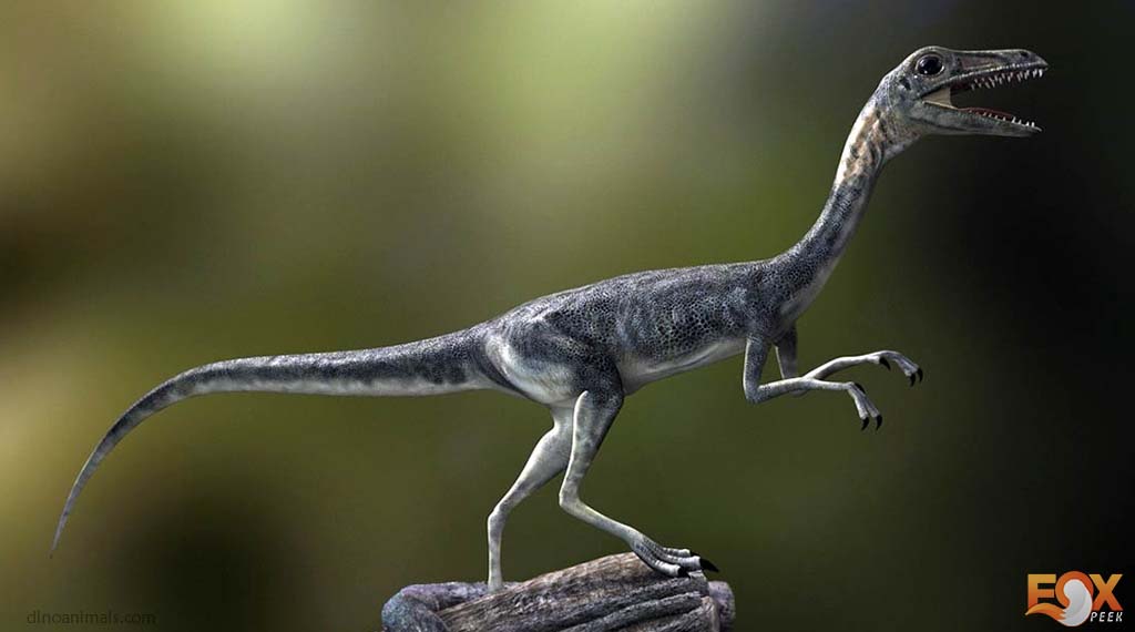 Compsognathus - Friendliest Dinosaurs that would have made the best pet