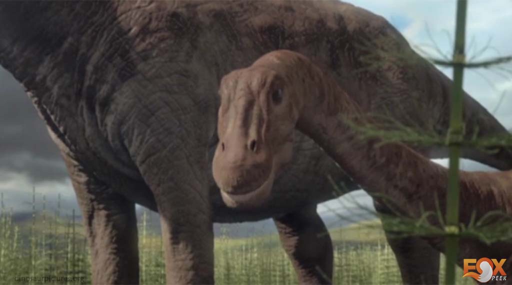 Magyarosaurus - Friendliest Dinosaurs that would have made the best pet