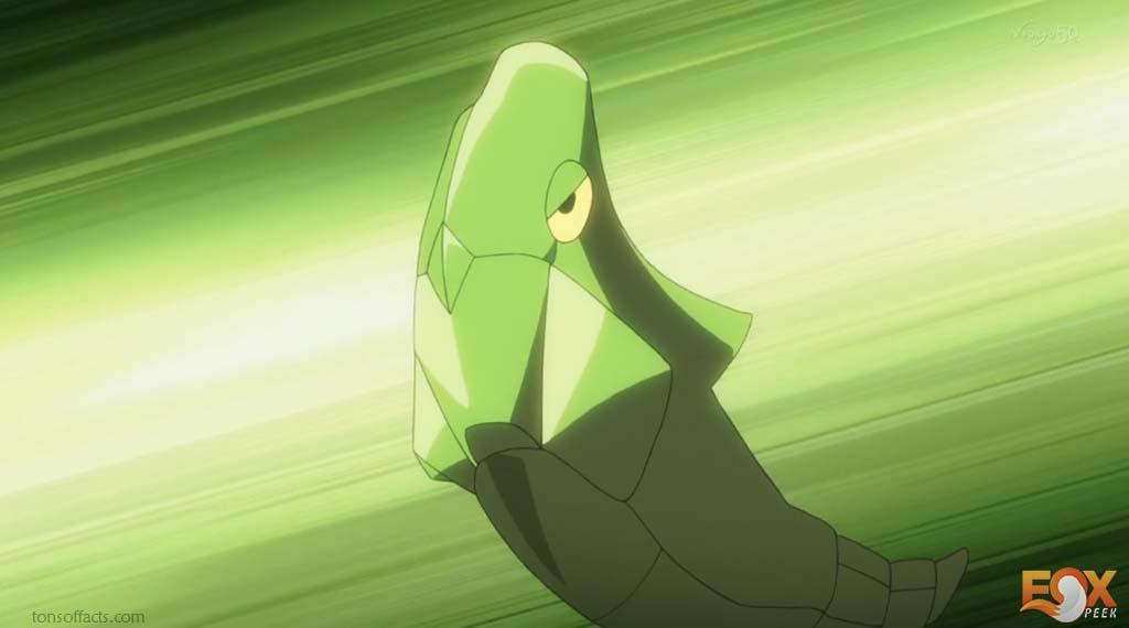 Metapod - Pokemon Who Are Weaker Than Humans