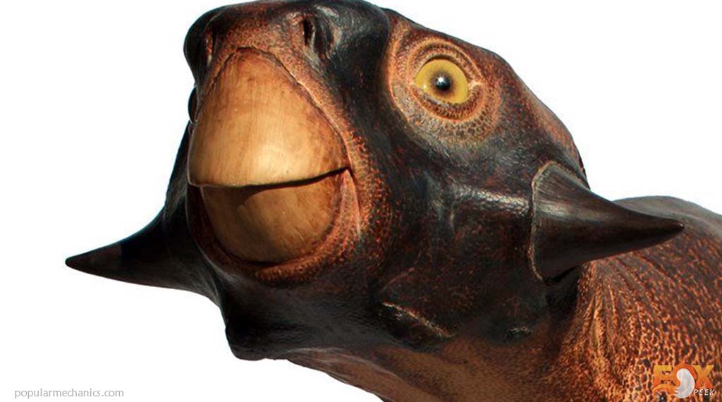 Psittacosaurus - Friendliest Dinosaurs that would have made the best pet