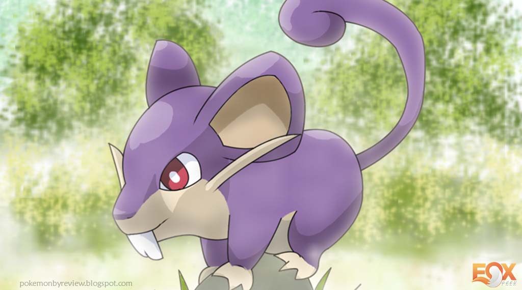 Rattata - Pokemon Who Are Weaker Than Humans