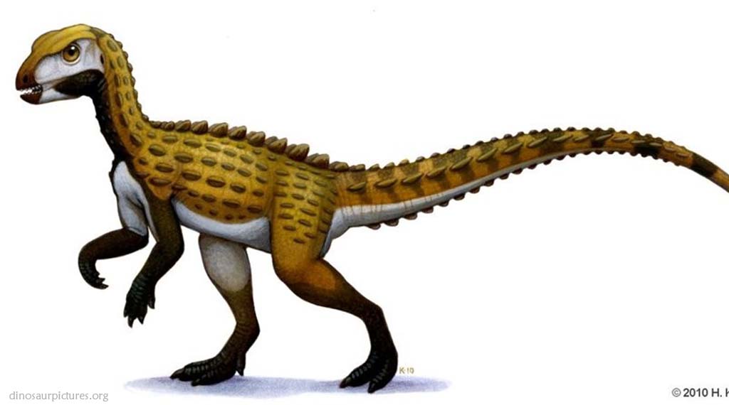 Scutellosaurus - Friendliest Dinosaurs that would have made the best pet