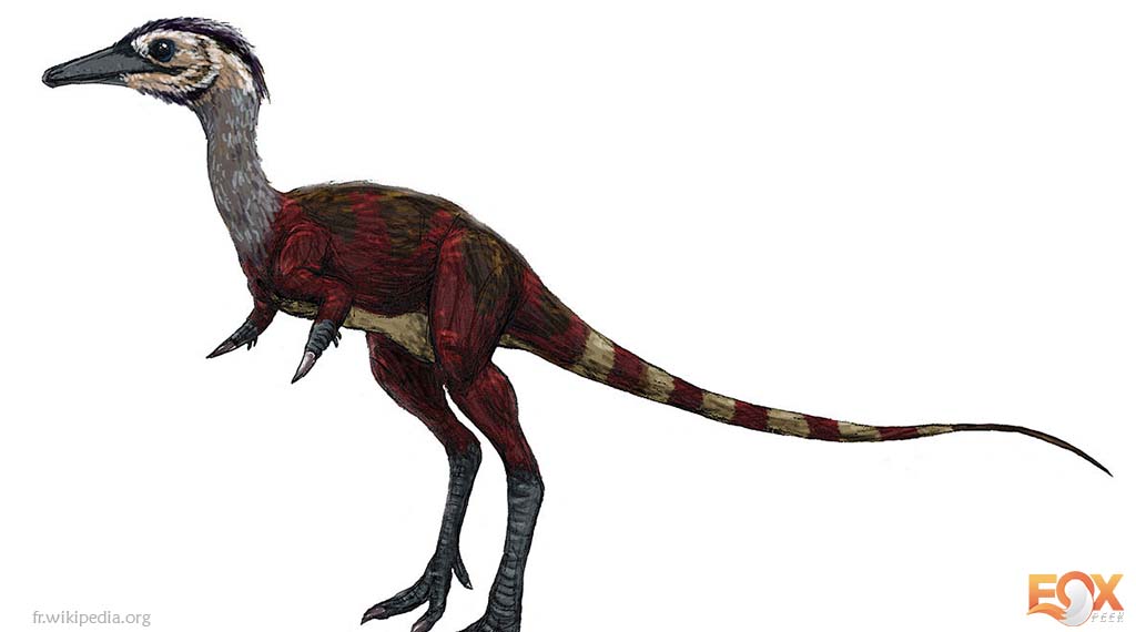 Shuvuuia - Friendliest Dinosaurs that would have made the best pet