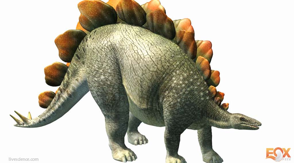 Stegosaurus - Friendliest Dinosaurs that would have made the best pet