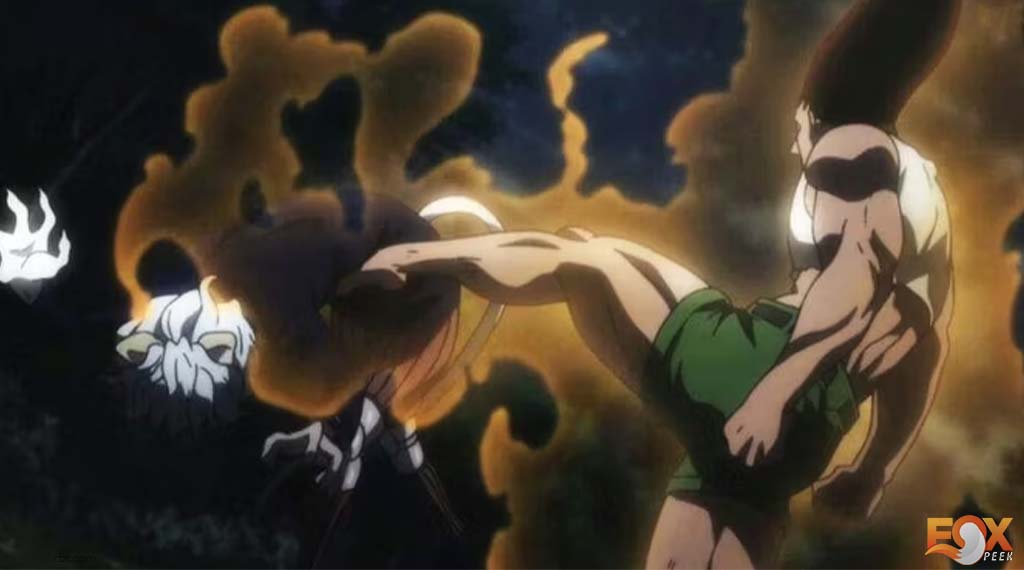 The Time He Beat Neferpitou - TOP 10 Best Things Gon Has Done in Hunter X Hunter