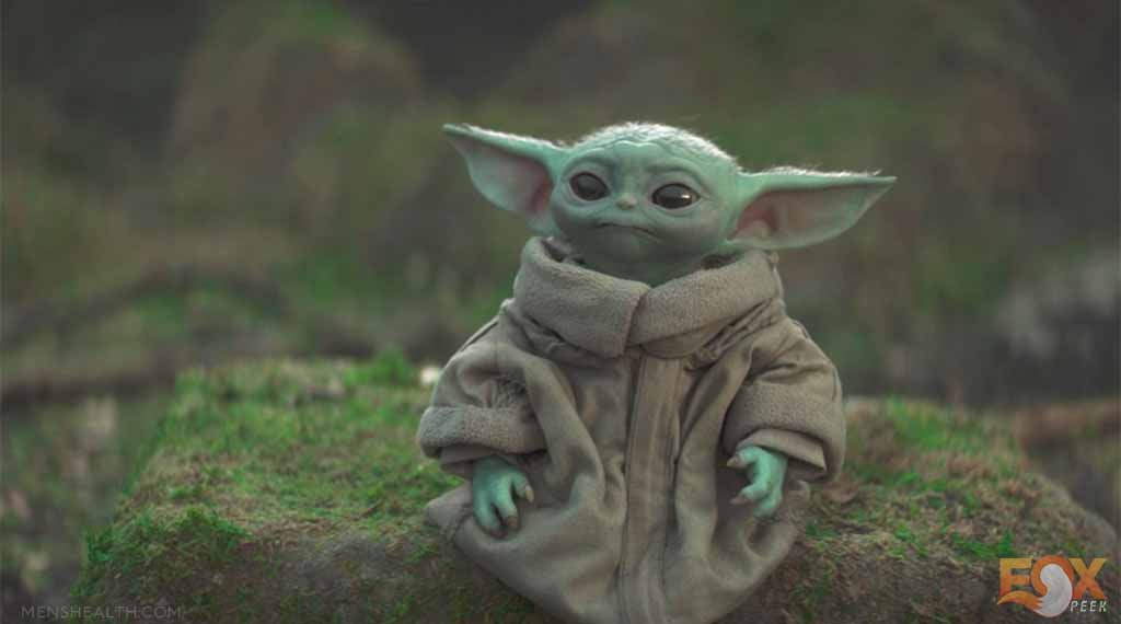 Top 5 Surprising Facts About Baby Yoda You Might Not Know